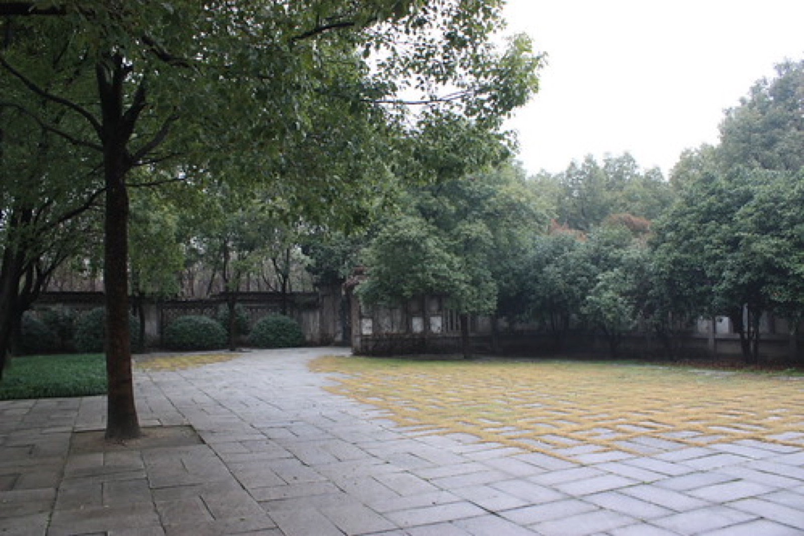 小片空地,柯巖