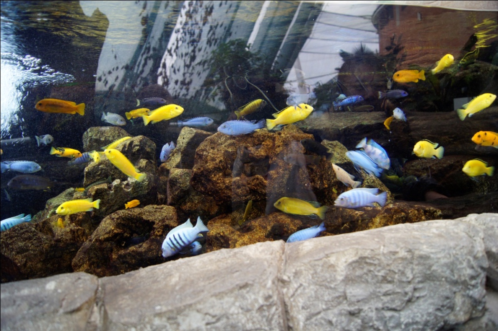 Bristol Aquarium